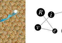 DIVERSE Contemporary (Tartelet)
