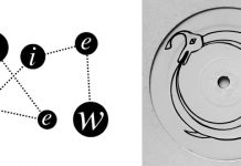 DIVERSE Ouroboros (Innovative Leisure)