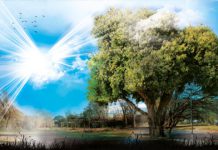 GROOVE PRÄSENTIERT Pollerwiesen Festival 2.0 (19. Mai)