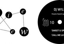 DJ W!LD Sweet & Spicy EP (W 010)
