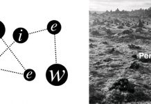 PETER VAN HOESEN Life Performance (Tresor)