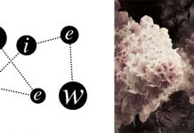 TAKUYA YAMASHITA Daybreak (Mirko Loko Remixes) (Cadenza 089)