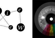 ALEX CORTEX Hyperfocus (Killekill 014)