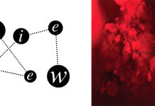 TROY PIERCE Softcore (Items & Things 027)