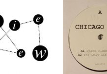 CHICAGO DAMN Space Flower Girl (Merc 015)