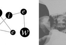 THE ACID Liminal (Infectious)