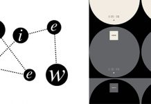 DEVELOPER In Pure Form (Modularz)