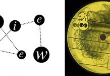 YOUNGMAN & LANDSTRUMM Fry Up EP (Snork Enterprises 070)