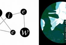 ERDBEERSCHNITZEL The Ample Waters (Delsin H 008)