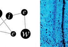 2562 The New Today (When In Doubt)