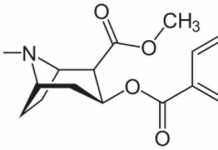 LISTE Zehn Tracks mit Drogen im Titel