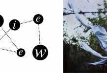 PETRE INSPIRESCU Vin Ploile (Mule Musiq)