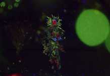 VERLOSUNG Albumlabel Labelnight (Berlin, 27.11.15)