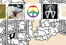 Die 5 besten Alben im August