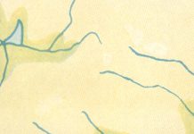 10 Ambient Essentials