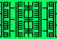 Amplify: Bewerbungsphase für zweites Semester angelaufen