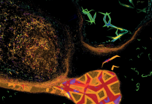 GROOVE CD 83 (September/Oktober 2018)