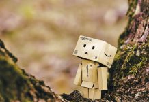 Amazon-Festival Intersect: Über 800 Künstler*innen unterzeichnen Boykott daniel-eledut-a8KNFpidIPI-unsplash