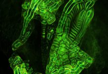 HyperSwim: Zum 15. Jubiläum von Hyperdub erscheint eine umfangreiche Compilation