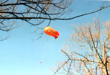 Motherboard: November 2019 Motherboard November 2019