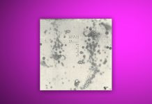 Dezember 2019: Album des Monats