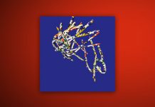 Januar 2020: Album des Monats Bergsonist - Middle Oust (Optimo)