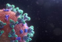 Coronavirus: Die Auswirkungen auf die Clubkultur im Ticker Corona Unsplash