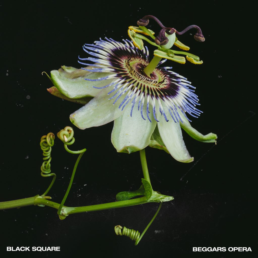 Black Square - Beggars Opera - Artwork