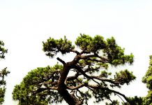 Motherboard: Juni 2020 Motherboard Juni 2020