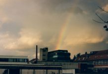 Motherboard: Juli 2020 Motherboard Juli 2020