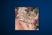 Juni 2020: Album des Monats upsammy - Zoom (Dekmantel) Aufmacher