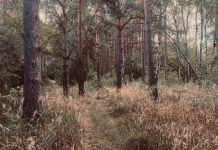 Aware Festival: Line-Up-Ankündigung und Interview Aware Festival Titelbild