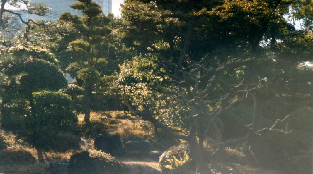 Motherboard August 2020 by Frank P. Eckert Motherboard August 2020 by Frank P. Eckert