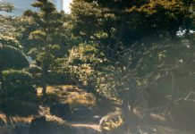 Motherboard: August 2020 Motherboard August 2020 by Frank P. Eckert