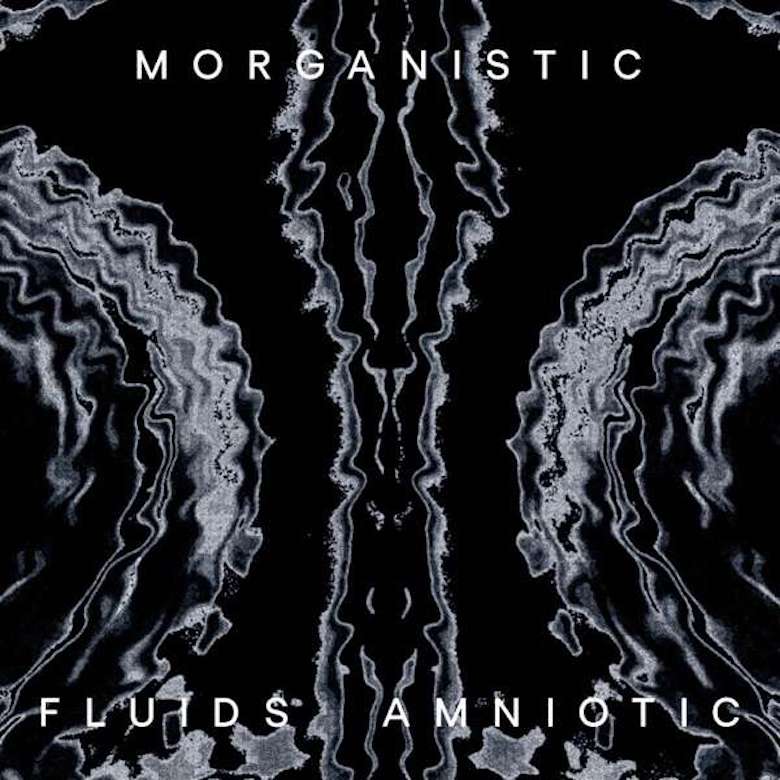 Morganistic – Fluids Amniotic (Mote Evolver)