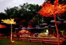 Naturklang Zürich: „The Pool 2021” im Outdoor-Wellenbad