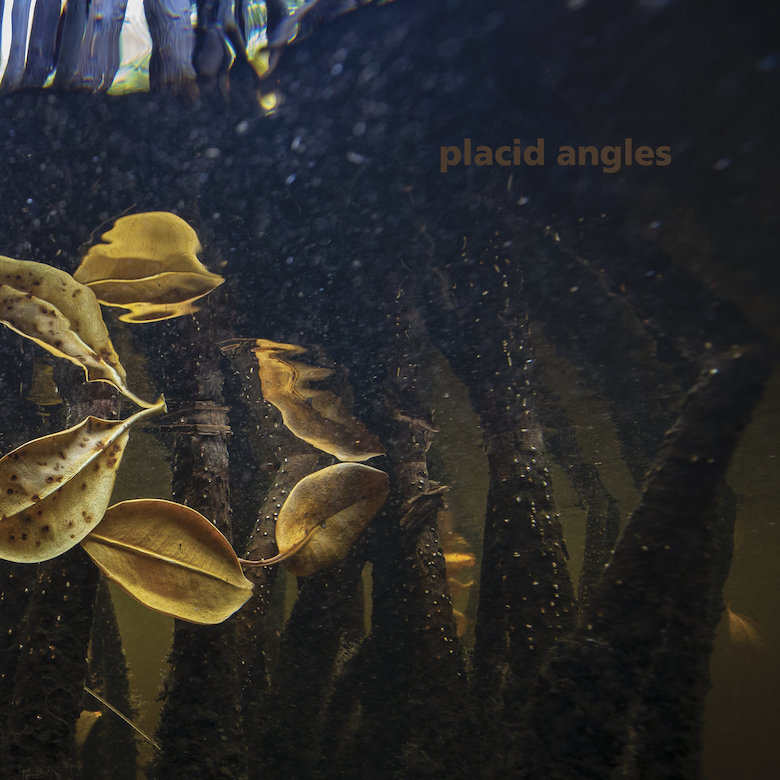 Placid Angles – Touch The Earth (Figure)
