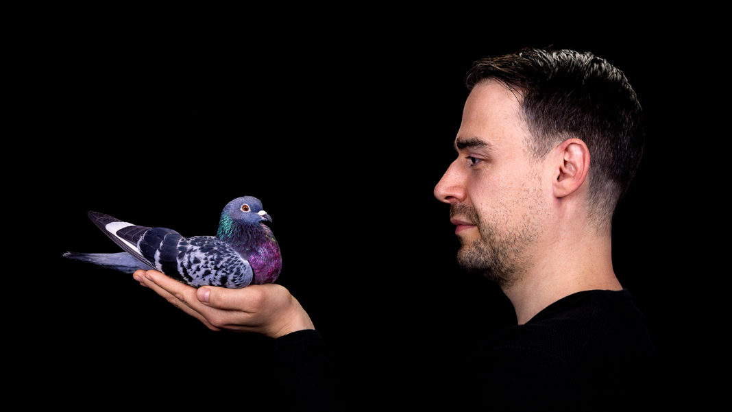 Stimming Press Photo - Credit_ Randy Rocket (3) Stimming Press Photo - Credit_ Randy Rocket (3)