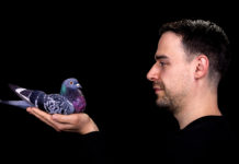 Stimming: Emanzipation von der Bassdrum Stimming Press Photo - Credit_ Randy Rocket (3)