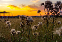 Berlin: Initiative Draussenstadt legt Call for Action neu auf