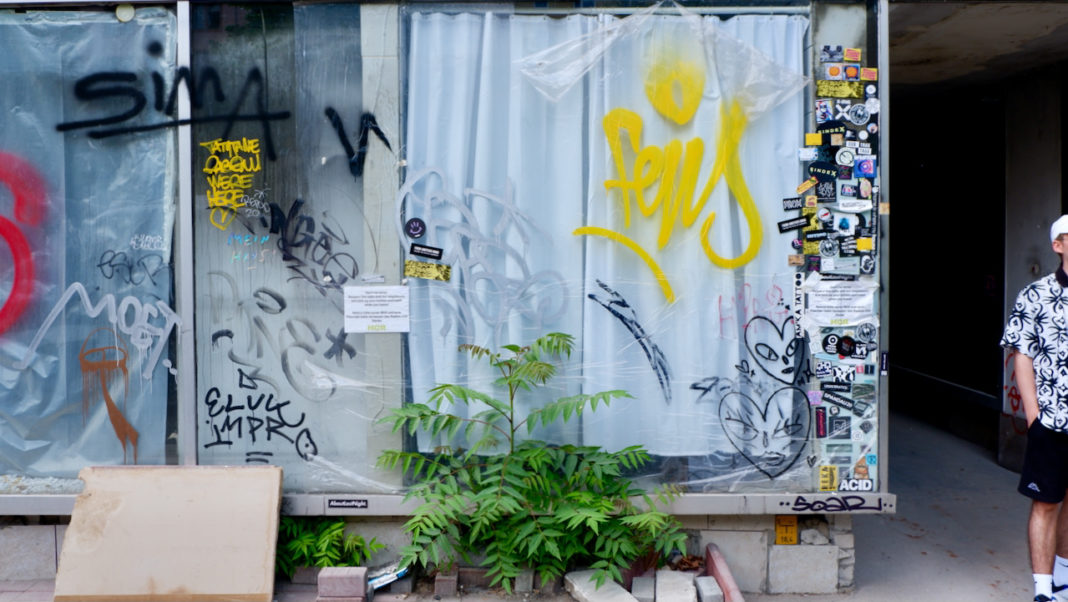 Hoer Header by Alexis Waltz