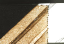 Motherboard: August 2021 Motherboard Header August 2021