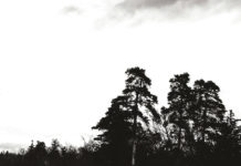 Motherboard: September 2021 Motherboard Header September 2021