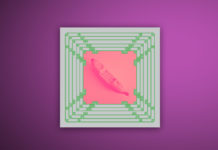 September 2021: Album des Monats Baaz Alley Mock Up