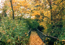 Motherboard: November 2021 Motherboard Header November 2021