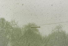 Motherboard: Dezember 2021 Motherboard Header 1221