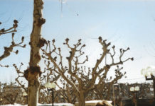 Motherboard: Januar 2022 Header Motherboard Januar 2022