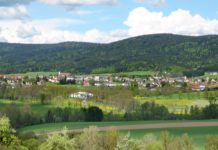 Österreich: Illegaler Rave führt zu 250 Anzeigen