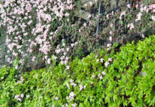 Motherboard: Mai 2022 Header Motherboard0522 by Frank Eckert