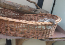 Motherboard: September 2022 Motherboard September 2022 Header